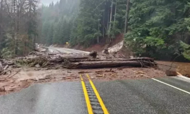 ‘We are completely empty’: Small businesses hit hard by storms now face long-term US 2 closure