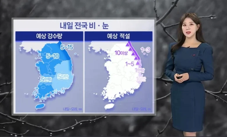 [날씨] 내일 전국 강풍 동반 비, 산지 눈…도로 미끄럼 주의