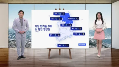 [날씨] 내일 전국에 영하권 강추위...오후부터 밤사이 서울에 첫눈