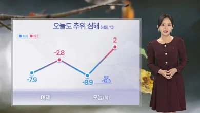 [날씨] 오늘도 '전국 꽁꽁'...강추위 속 퇴근길 중부 중심 눈