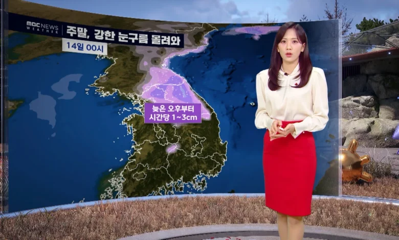 [날씨] 주말, 중부 내륙 많은 눈‥늦은 오후부터 강할 듯