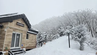 눈 쌓인 덕유산 삿갓재대피소