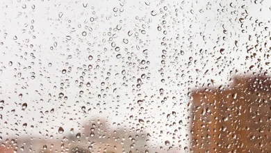 목요일(11일) 전국 겨울비…오후부터 차차 맑아져