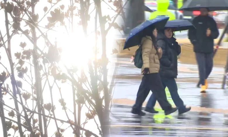 벌써 봄이야? '광주 18.2도'…포근한 주말 곳곳 비