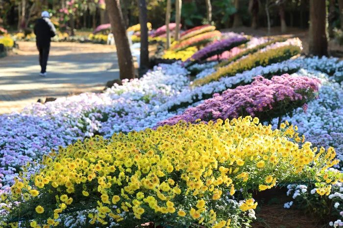 아침엔 쌀쌀 낮엔 포근… 오후부터 남부에 비