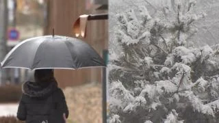 전국 약한 겨울비…강원 산지 최대 10㎝ 많은 눈