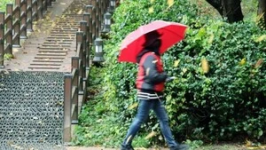 [전북 오늘(20일) 날씨] 온종일 비오고 밤부터 기온 '뚝'