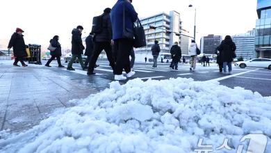 주말 기온 평년 웃돌지만 곳곳 '방판길'…동해안 건조·강풍(종합)