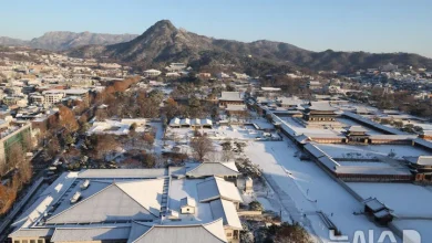 중부 곳곳 비·눈…낮 기온 오르며 포근[내일날씨]